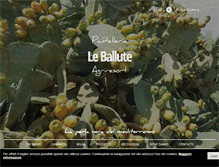Tablet Screenshot of pantellerialeballute.com